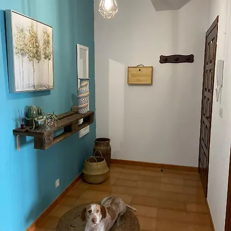 Apartamento Fin Da Terra